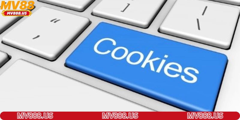 yeu-to-giup-he-thong-hoat-dong-on-dinh